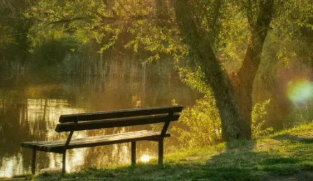 Empty bench